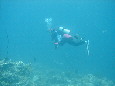 S26.JPG - 3,353Bytes