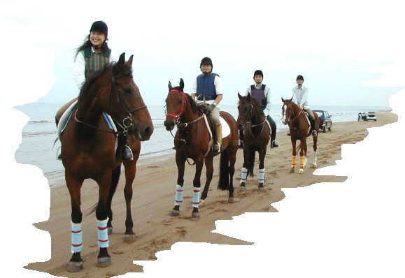 ../../../bin/horse/kanazawa/102c.JPG - 51,251Bytes