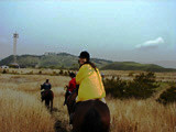 ../../bin/horse/10s.jpg - 7,601Bytes