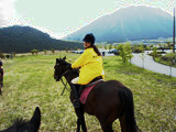 ../../bin/horse/13s.jpg - 9,931Bytes