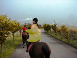 ../../bin/horse/14s.jpg - 8,538Bytes