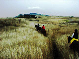 ../../../bin/horse/yufuin2/19s.jpg - 7,942Bytes