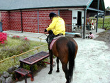 ../../../bin/horse/yufuin2/1s.jpg - 12,685Bytes