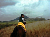 ../../../bin/horse/yufuin2/20s.jpg - 7,133Bytes