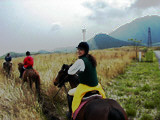 ../../../bin/horse/yufuin2/21s.jpg - 9,180Bytes