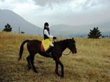 ../../../bin/horse/yufuin2/25s.jpg - 8,765Bytes