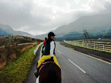 ../../../bin/horse/yufuin2/29s.jpg - 8,121Bytes