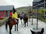 ../../../bin/horse/yufuin2/3s.jpg - 11,692Bytes