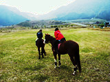 ../../../bin/horse/yufuin2/7s.jpg - 9,296Bytes