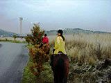 ../../../bin/horse/yufuin2/8s.jpg - 8,644Bytes